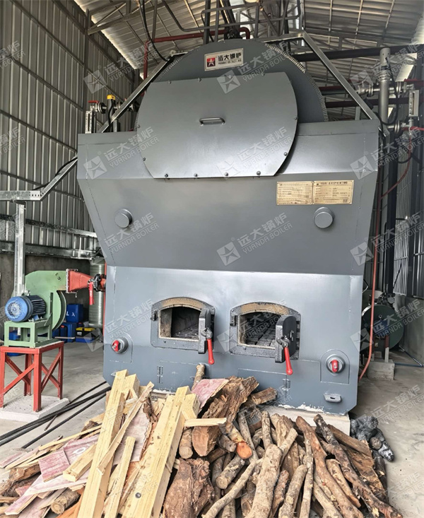 4000 kg hour Firewood Steam Boiler For Food Factory Cambodia