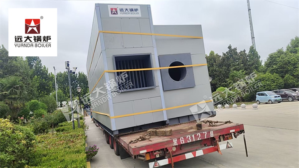20 Ton Hydrogen Gas-Fired Steam Boiler Delivered to Russia