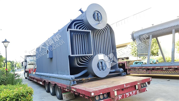 20 Ton Coal Biomass Steam  for Food & Beverage Company in Indonesia