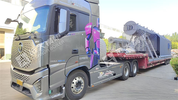 20 Ton Coal Biomass Steam  for Food & Beverage Company in Indonesia