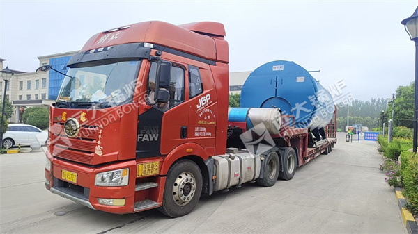 15 Ton Fire Tube Steam Boiler for Paper Plant in Syria