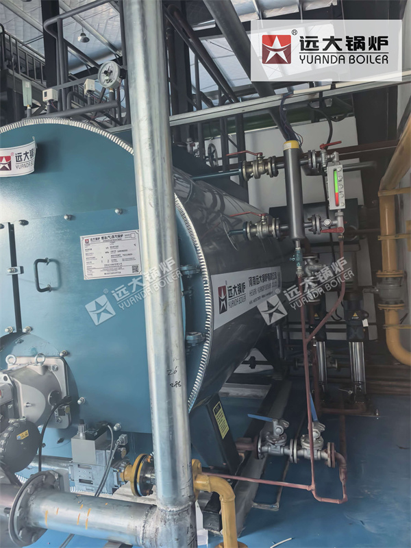 2 Ton Natural Gas Steam Boiler For Pharmaceutical Factory | Yuanda High Efficiency Boiler