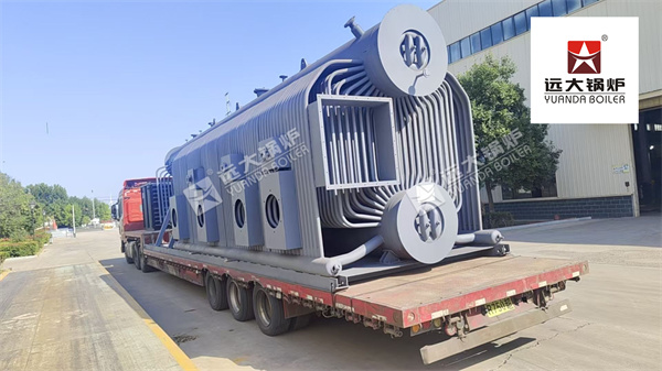 20 Ton Biomass Steam Boiler for Paper Mill in Vietnam