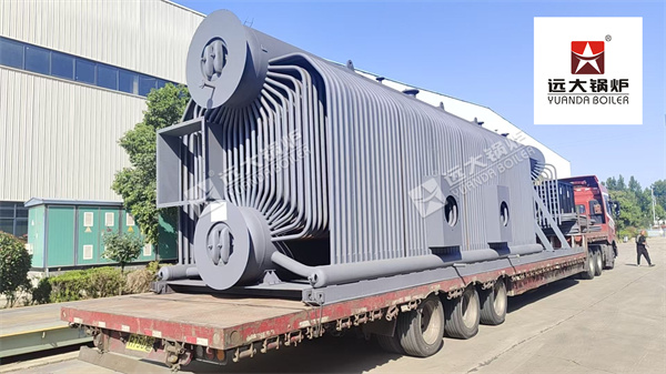 20 Ton Biomass Steam Boiler for Paper Mill in Vietnam