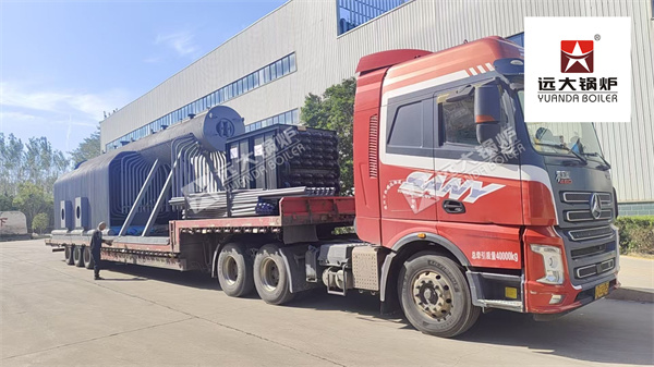 20 Ton Biomass Steam Boiler for Paper Mill in Vietnam