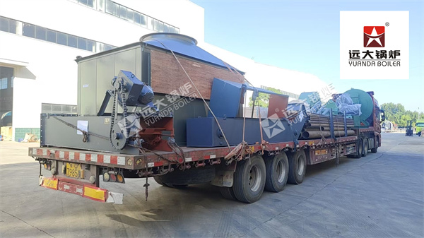 20 Ton Biomass Steam Boiler for Paper Mill in Vietnam