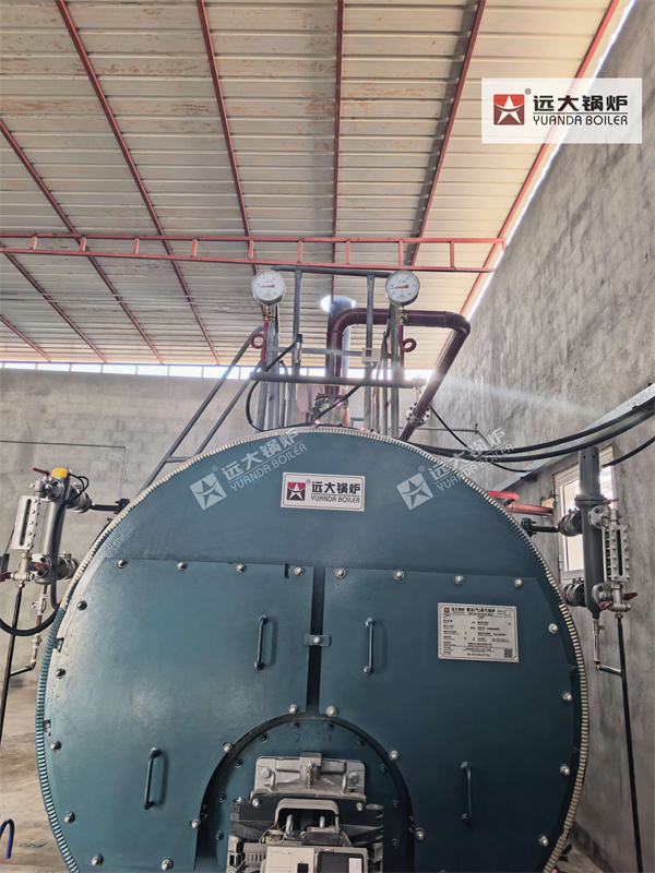 Skid-Mounted Diesel Steam Boiler for Furniture Production Oman