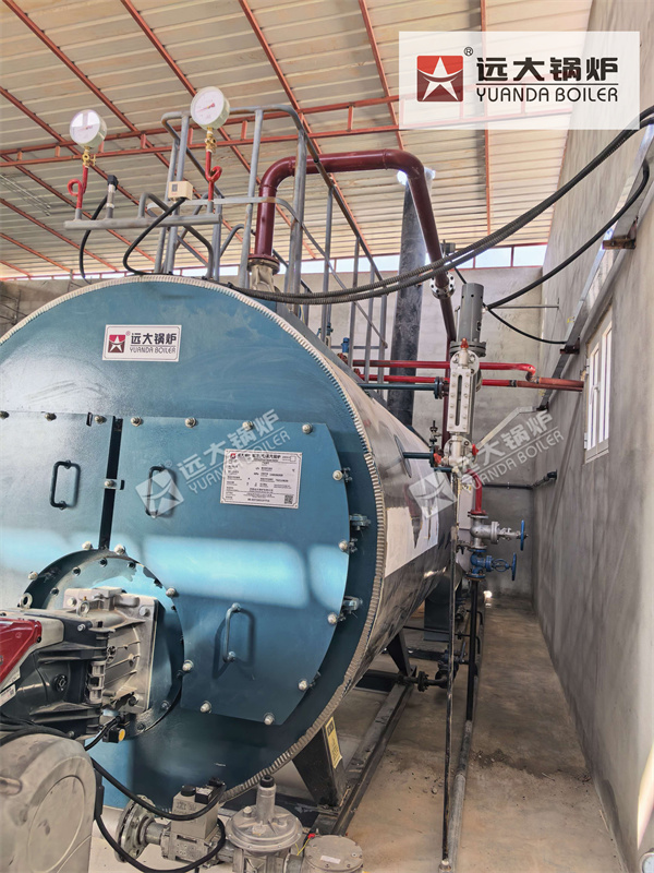 3000 kg Diesel Oil Fired Steam Boiler In Oman