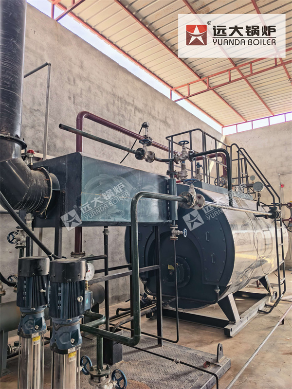 3000 kg Diesel Oil Fired Steam Boiler In Oman