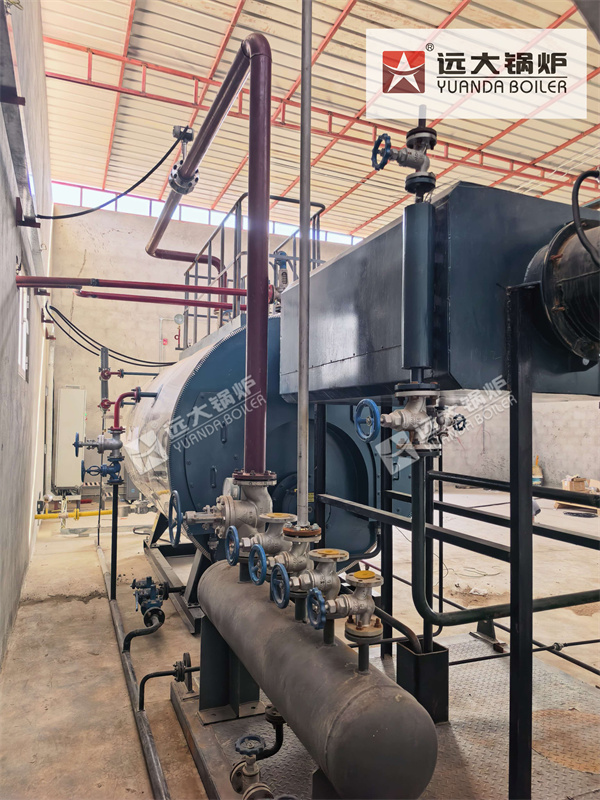 Skid-Mounted Diesel Steam Boiler for Furniture Production Oman